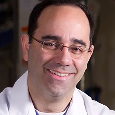Babak Sarani