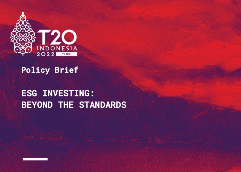 ESG Investing: Beyond the Standards