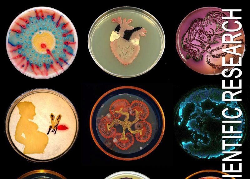 Funding Scientific Research - A Giving Smarter Guide