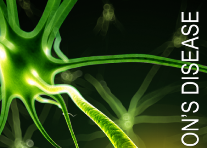 Parkinson's Disease - A Giving Smarter Guide