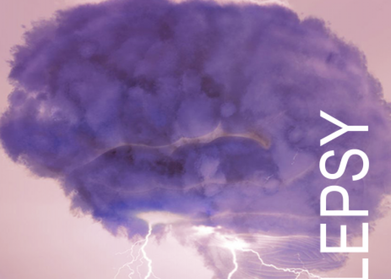Epilepsy - A Giving Smarter Guide