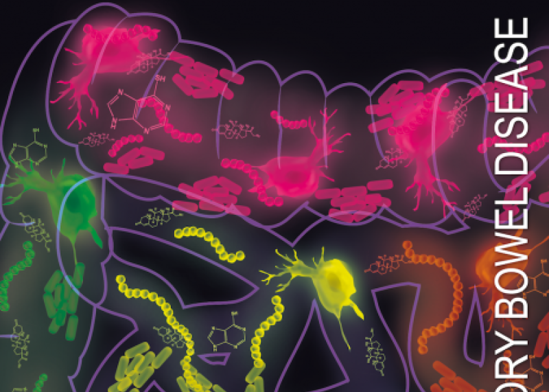 Inflammatory Bowel Disease - A Giving Smarter Guide